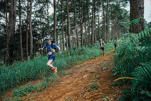 BIB: 
                            <button type="button" onclick="openModal(25690640)" class="btn btn-primary btn-sm float-right btn-popup" data-toggle="modal" data-target=".modal-high-quality">
                        <i class="fas fa-shopping-cart"></i> Add to Cart
                    </button>
                                            <button type="button" onclick="isThisMe(25690640, true)" class="btn btn-success btn-sm float-right btn-popup btn-isme hidden" data-toggle="tooltip" data-placement="bottom" title="นี่คือรูปของคุณใช่ไหม คลิกที่นี่เพื่อเอาเข้าอัลบั้ม">
                        <i class="fas fa-plus"></i> Add to album
                    </button>
                    <button type="button" onclick="isThisMe(25690640, false)" class="btn btn-warning btn-sm float-right btn-popup btn-isnotme hidden">
                        <i class="fas fa-ban"></i> Remove from album
                    </button>